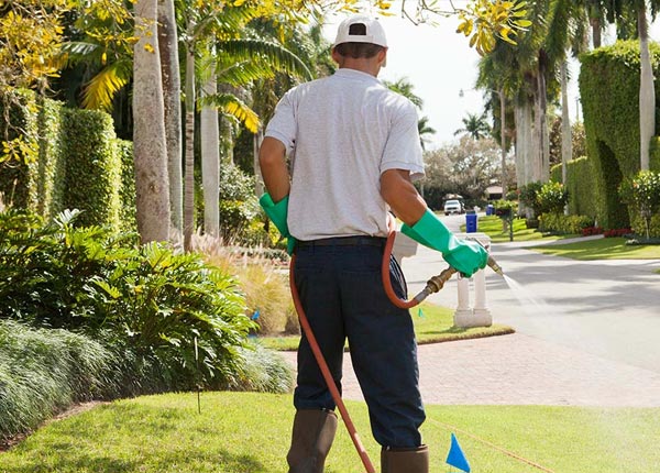 About Wilmot OH Pest Control Pros